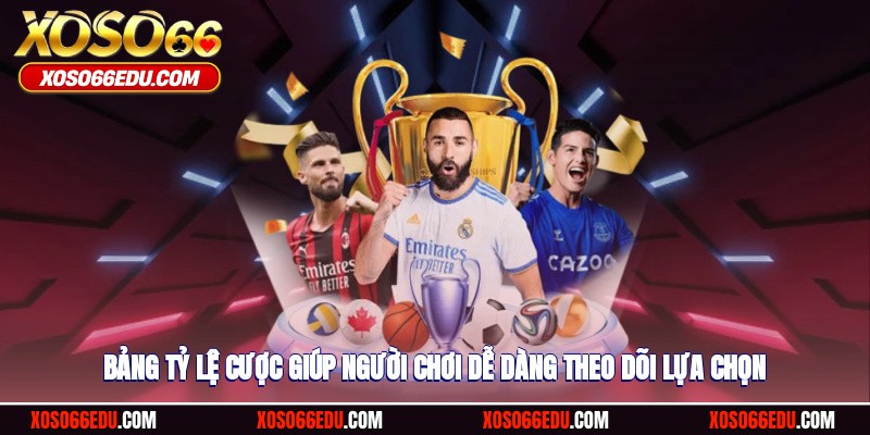 Bảng tỷ lệ cược giúp người chơi dễ dàng theo dõi lựa chọn